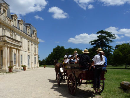 2011 - Thématique Le Rhône : Chasse au trésor en calèche